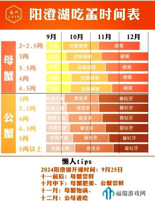 时间之钥寄居蟹任务攻略,资源管理、高效执行与避免浪费