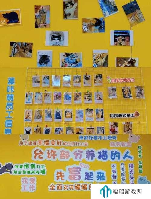 猫博物馆大厅箱子密码全解析