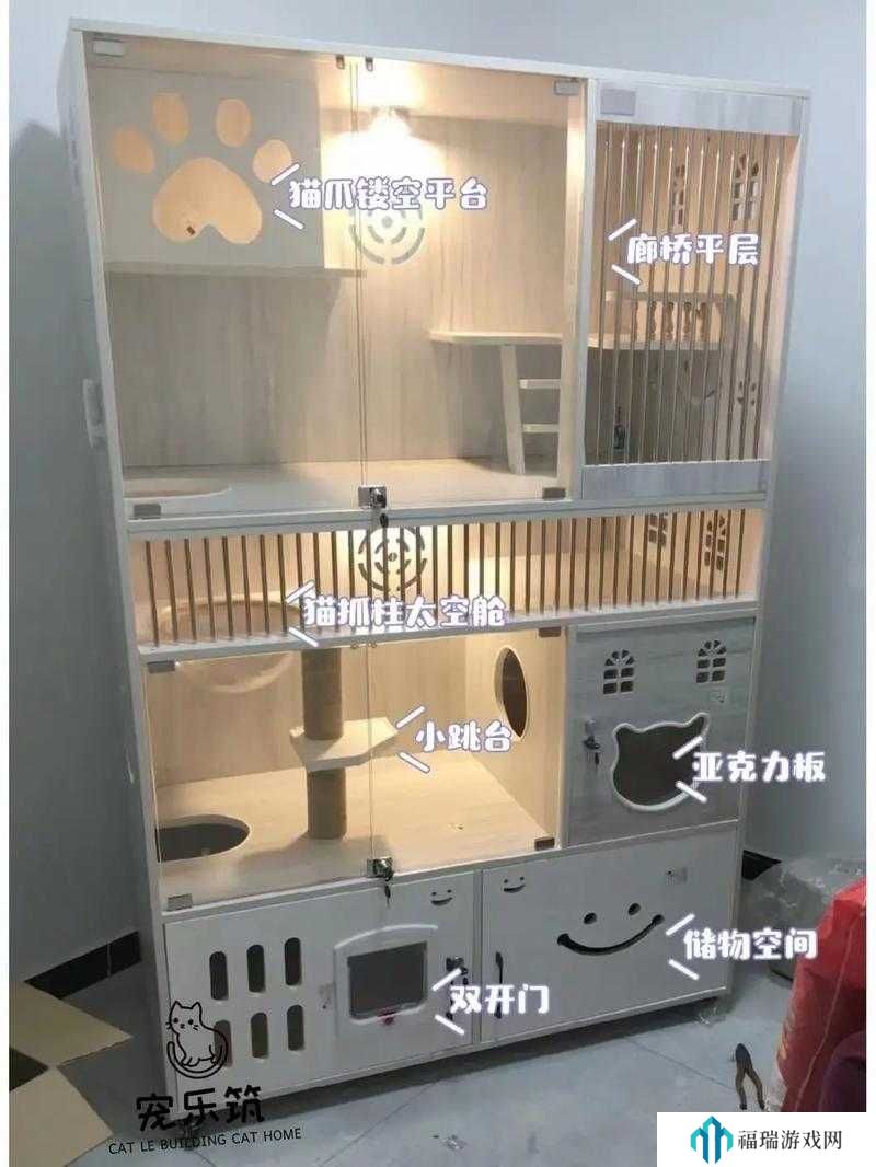 猫博物馆衣柜放置顺序全攻略,底层逻辑与操作映射深度解析