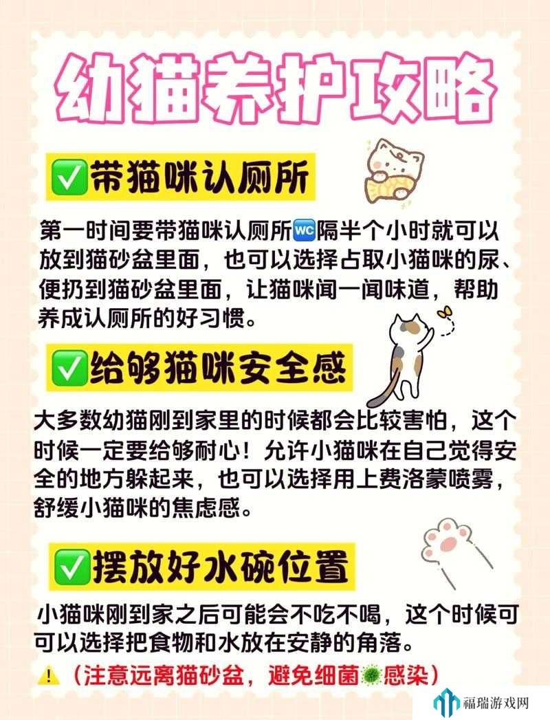 猫博物馆,探索小孩如何安全进入猫形摇篮的奇妙之旅