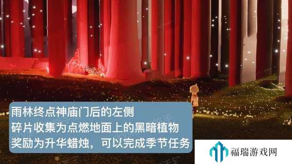 光遇10.25红石碎片在哪里?光遇10月25日红石碎片位置攻略