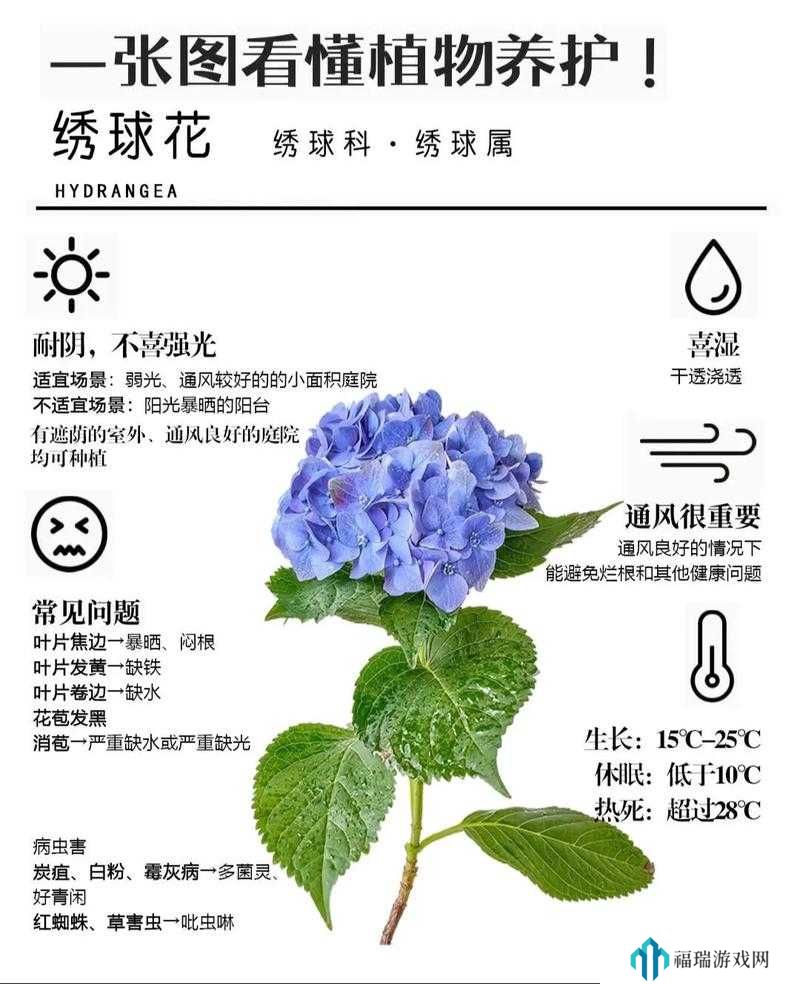 桃源深处有人家绣球怎么配色?桃源深处有人家绣球稀有色配方攻略